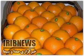 توزیع بیش از 70 تن میوه در بیجار
