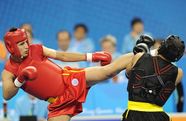 هیئت‌های برتر ووشو معرفی شدند