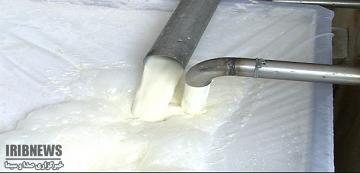 تولید 46 هزارو 374 تن شیر خام در خراسان شمالی