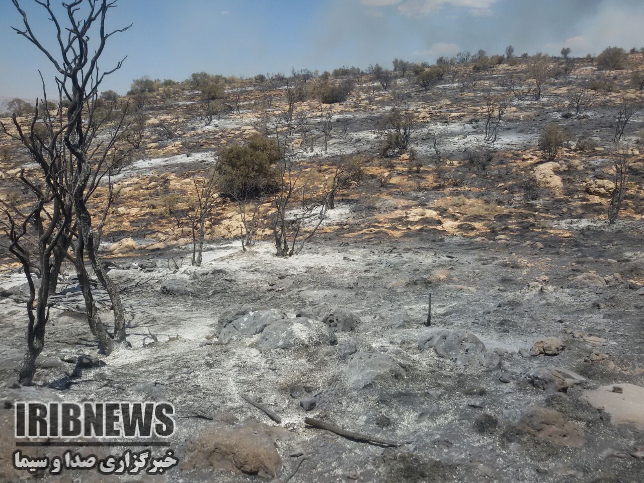 مجازات عاملان آتشسوزی داراب مجازات عاملان آتشسوزی داراب