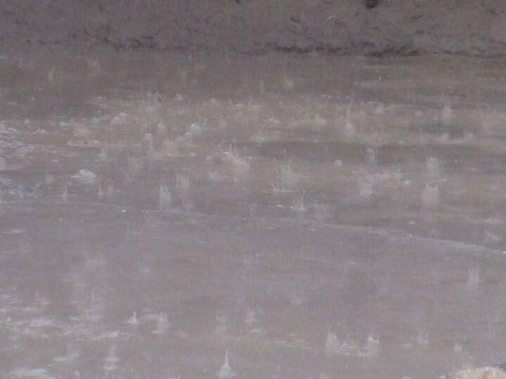 بارندگی 18 میلی متری در نیکشهر