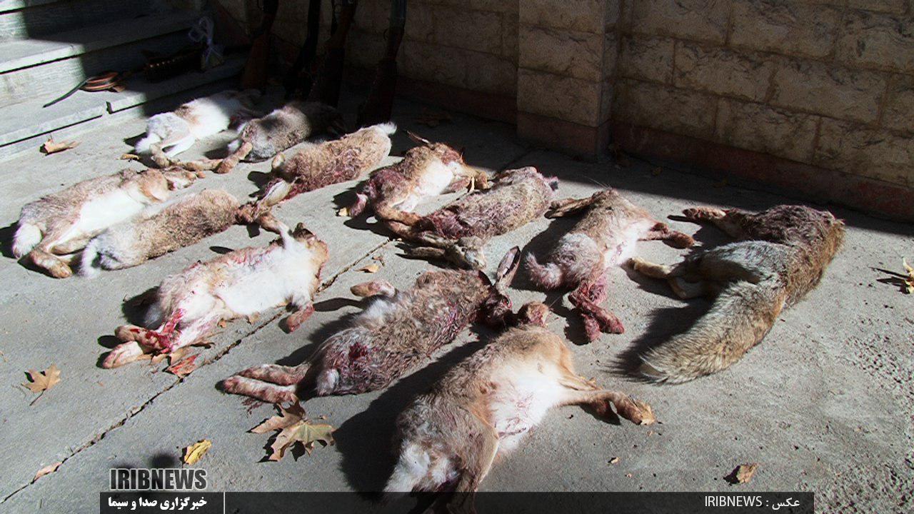 دستگیری سه شکارچی متخلف در مراغه