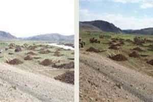 رفع تصرف بیش از 15 هکتار از زمین های زاینده رود