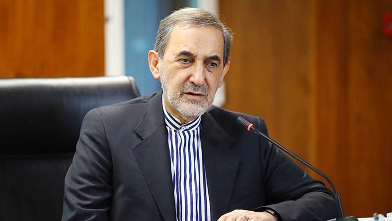 استفاده از ظرفیت جوانان در بدنه دانشگاه استفاده از ظرفیت جوانان در بدنه دانشگاه