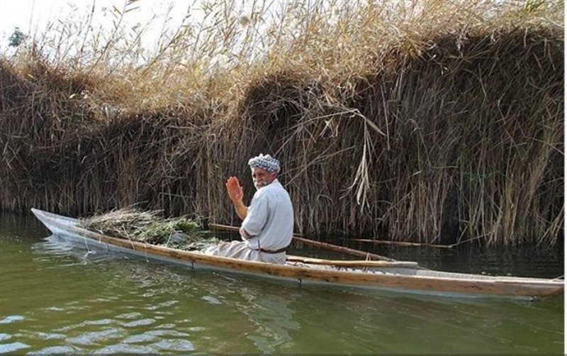 هور زنده شد هور زنده شد