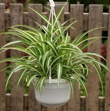 راهکار‌های صرفه جویی در مصرف آب