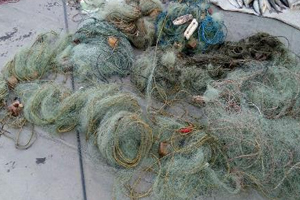 جمع آوری تور های صیادی غیر قانونی