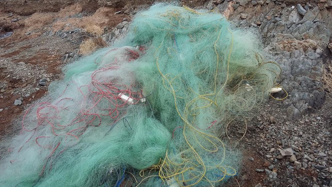 جمع آوری بیش از دو هزار متر دام