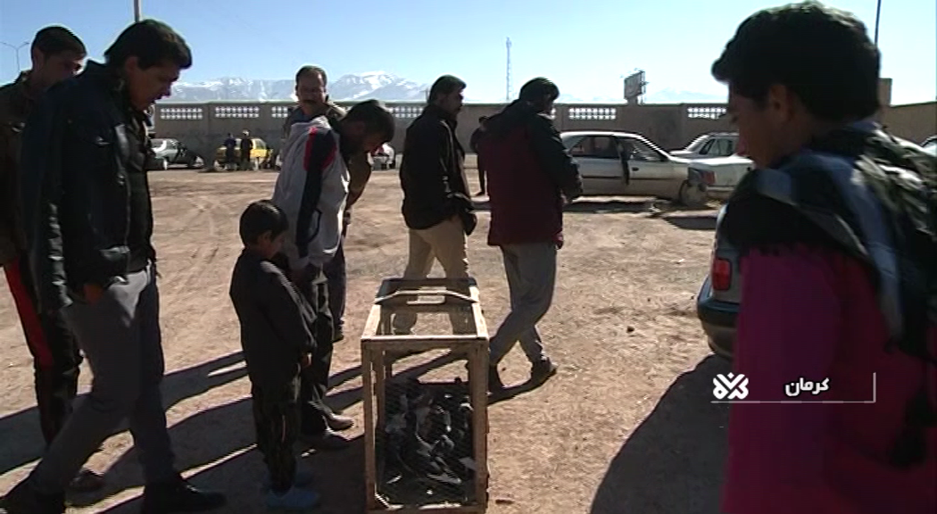 جمعه بازار پرندگان کرمان، تهدیدکننده سلامت