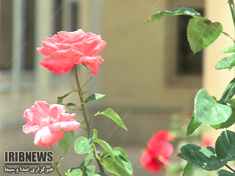 افزایش دما در زنجان افزایش دما در زنجان