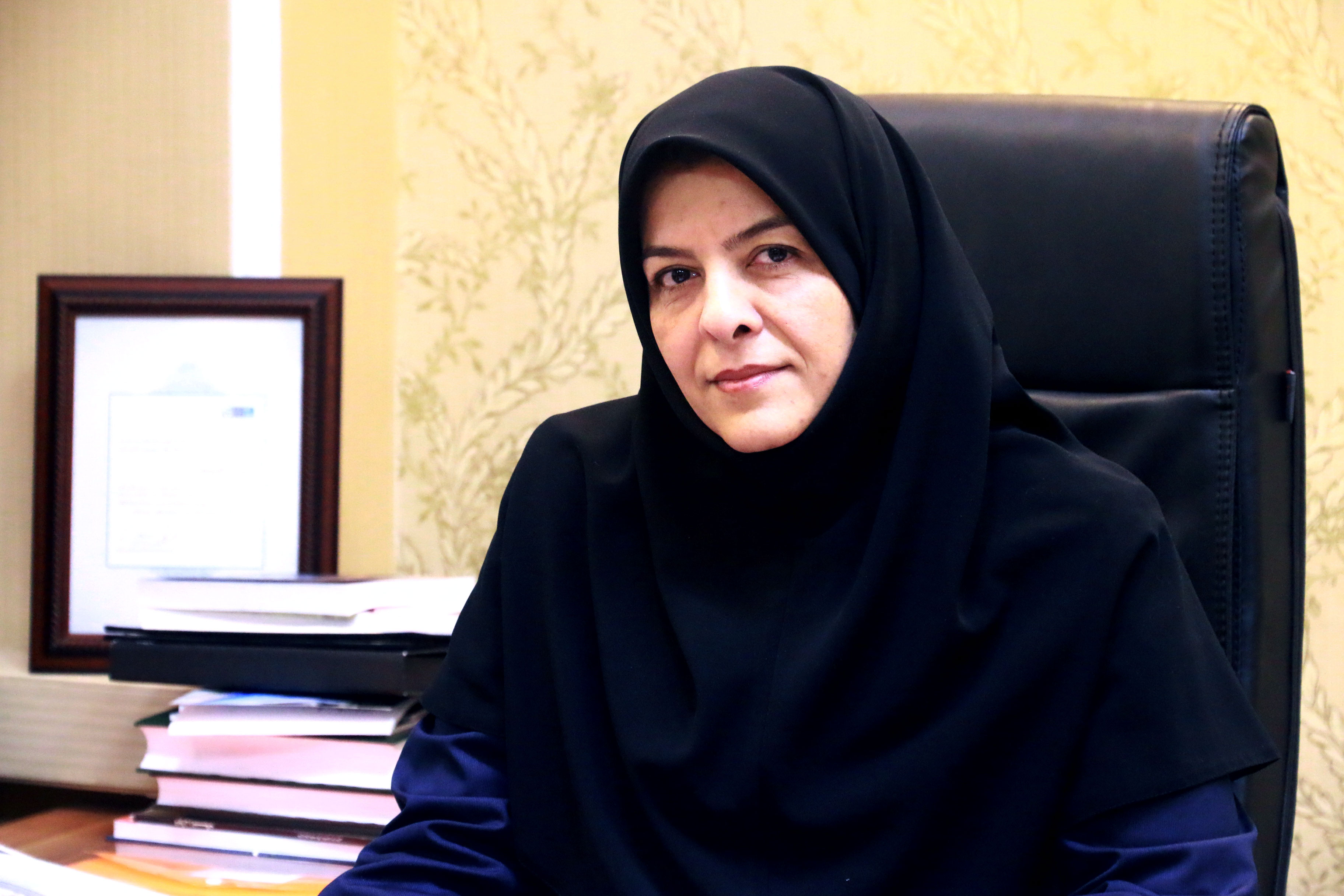 جذب هفت سرمایه گذار خارجی با اعتبار ۱۱۵ میلیون دلار در خراسان رضوی