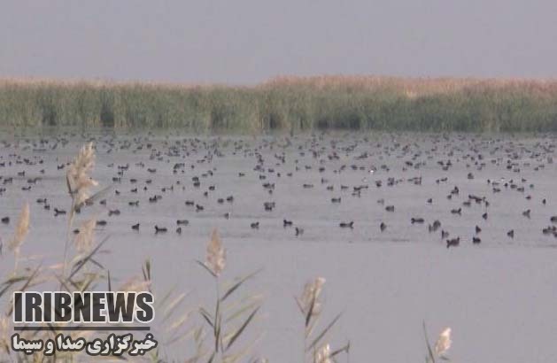 بازار و مراکز خرید مهاباد، نبض اقتصادی شهر بازار و مراکز خرید مهاباد، نبض اقتصادی شهر