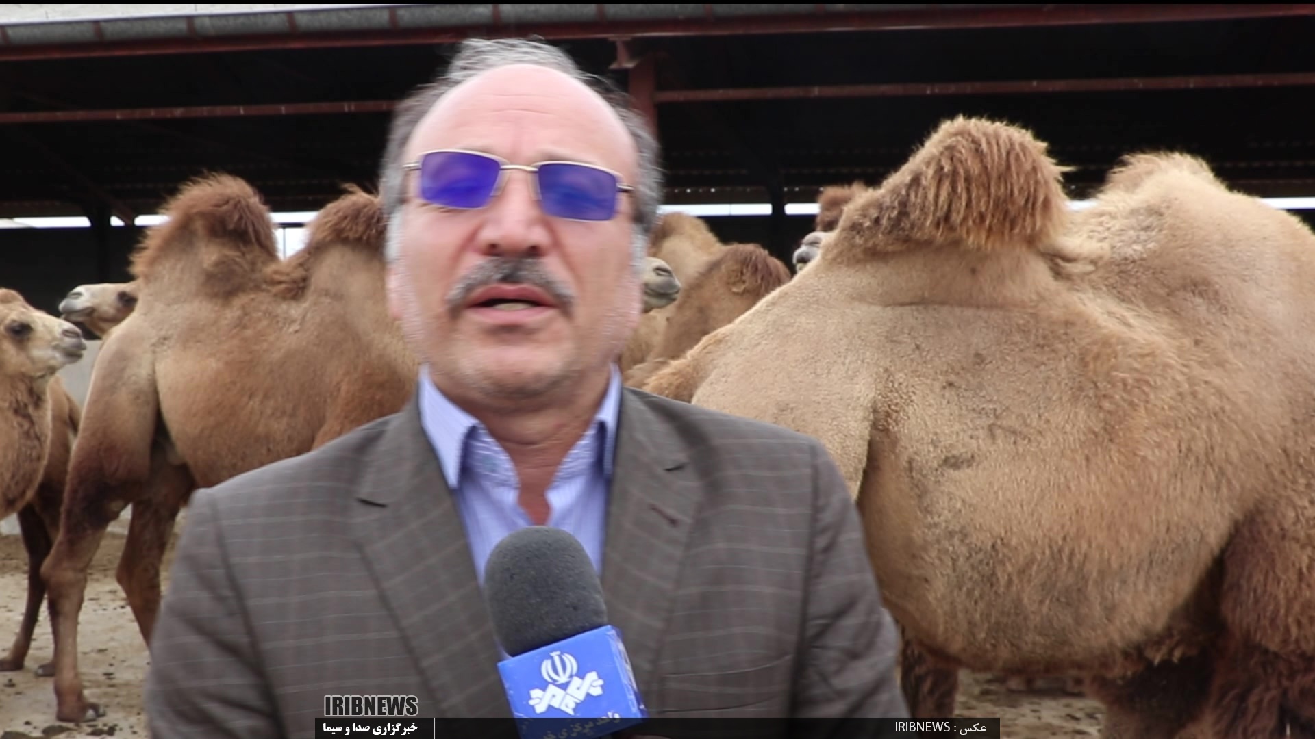 مرکز پرورش و نگهداری بین المللی شتر دو کوهانه&nbsp;