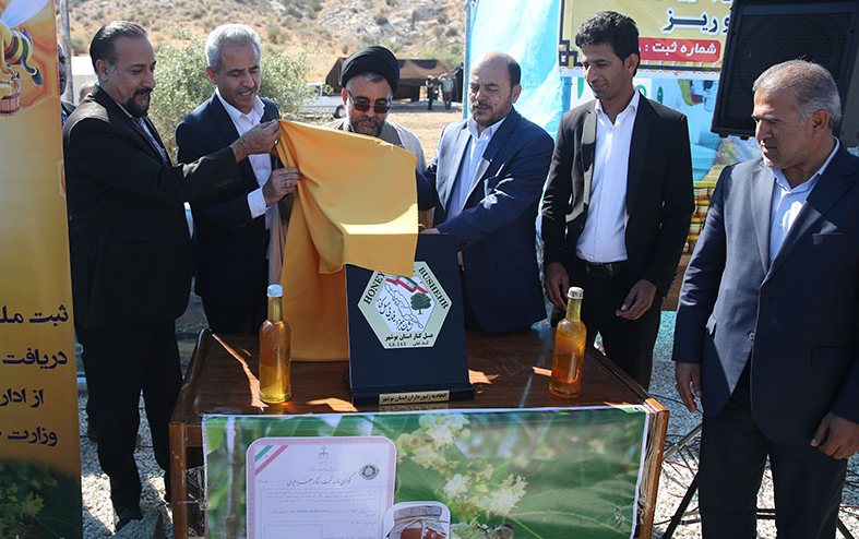 لزوم عرضه عسل تولیدی استان بوشهر در بازار&zwnj;های جهانی