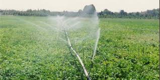 اجرای  ابیاری نوین در نی ریز اجرای  ابیاری نوین در نی ریز