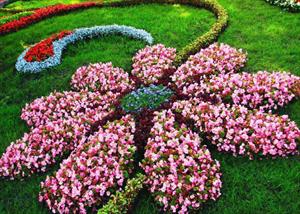 ۷ ایدهی زیبا برای طراحی بستر گل ۷ ایدهی زیبا برای طراحی بستر گل