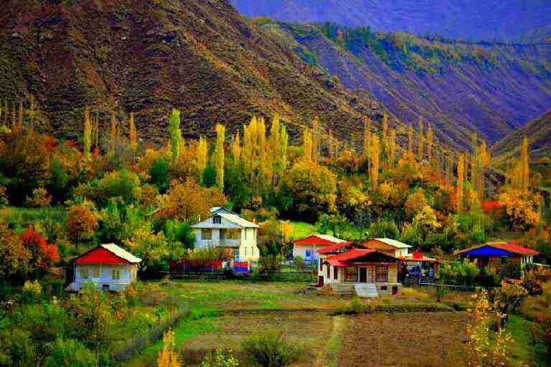 مسئولان چوب لای چرخ قاچاق چوب بگذارند