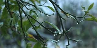 تداوم ناپایداری هوا در گیلان