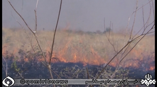 باز هم آتش به جان مراتع قم افتاد باز هم آتش به جان مراتع قم افتاد