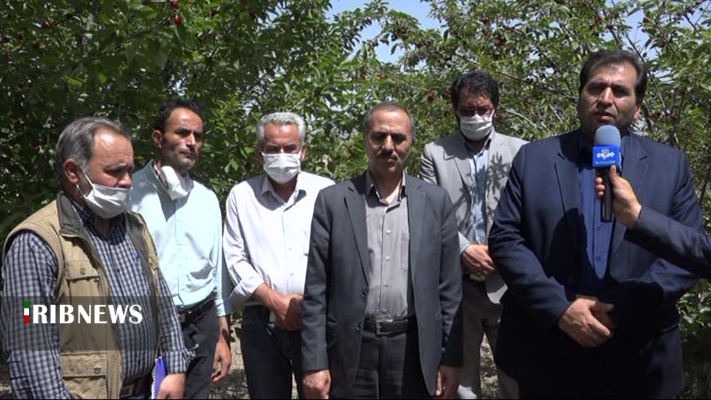 خسارت سرمازدگی بهاره به حداقل می رسد