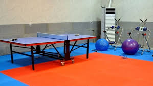 تجهیز 15 خانه ورزش روستایی خراسان رضوی