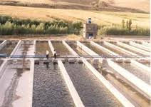 گزارش مکتوب: بام ایران بر بلندای بام تولید خوراک آبزیان کشور