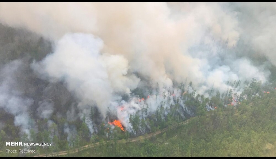 آتش به جان سیبری