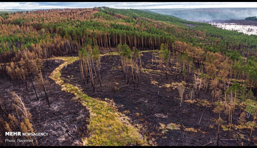 آتش به جان سیبری