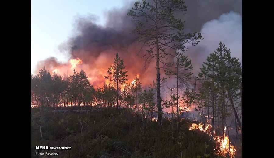 آتش به جان سیبری