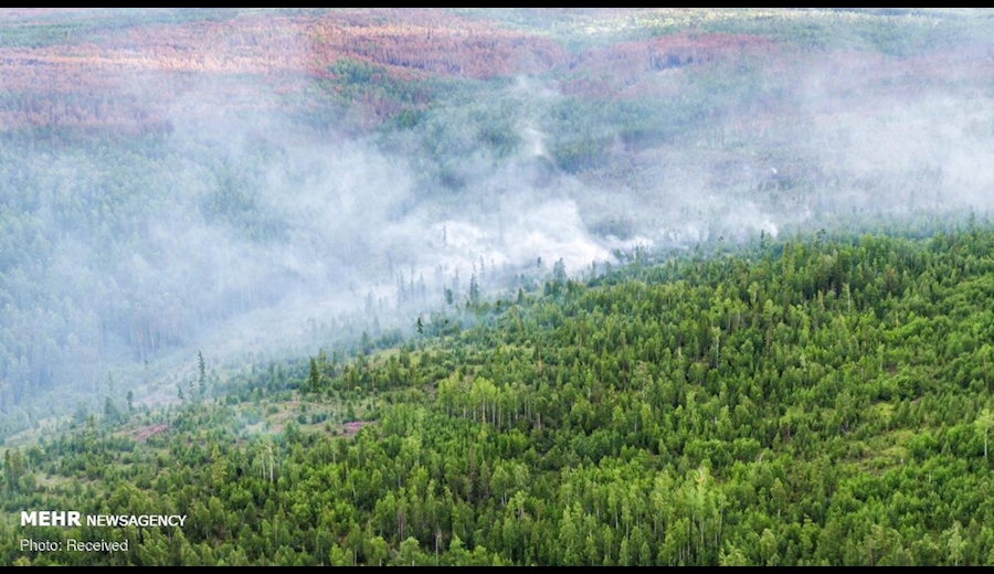 آتش به جان سیبری