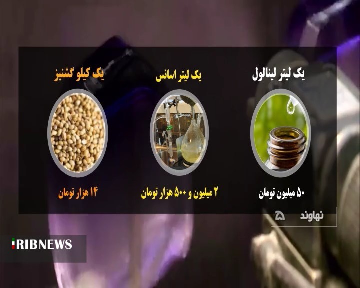 جهش تولید با مفت فروشی 