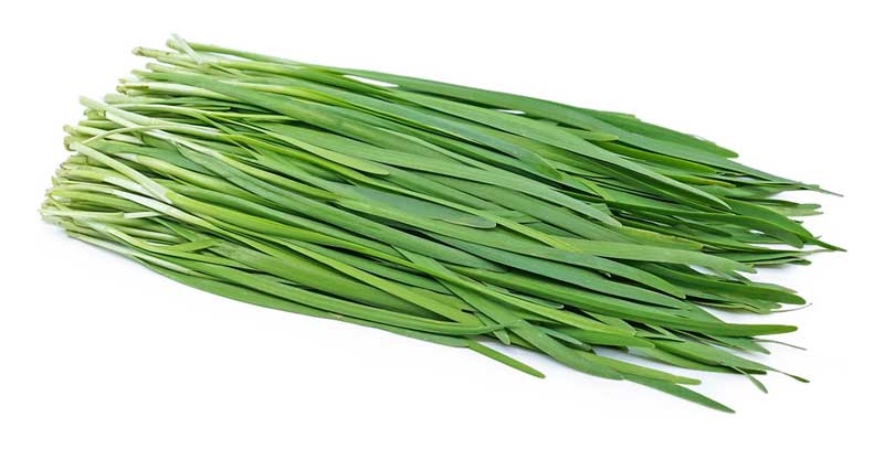 درمان زگیل، میخچه و پینه دست و پا با ۴ گیاه نام آشنا درمان زگیل، میخچه و پینه دست و پا با ۴ گیاه نام آشنا