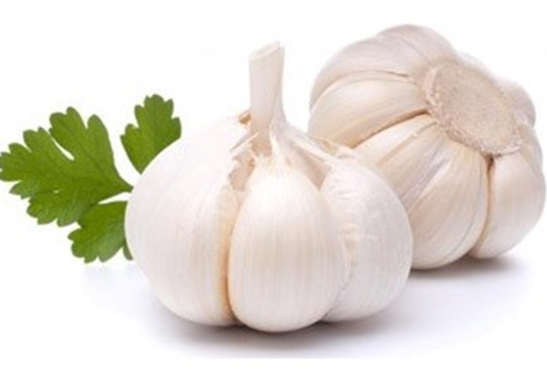 درمان زگیل، میخچه و پینه دست و پا با ۴ گیاه نام آشنا درمان زگیل، میخچه و پینه دست و پا با ۴ گیاه نام آشنا