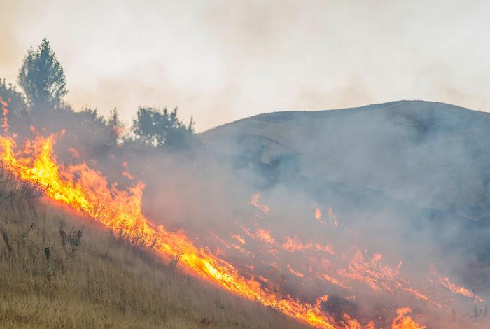 ضرورت آمادگی دستگاه&zwnj;ها برای مقابله با آتش سوزی&zwnj;ها