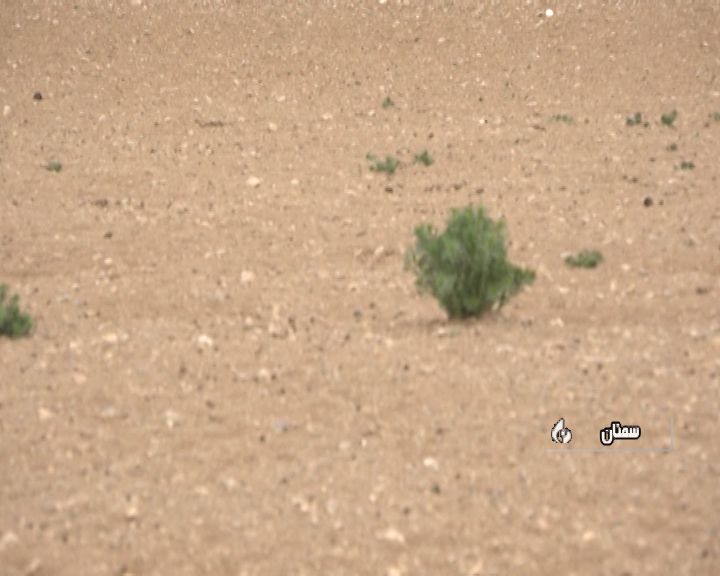 گزارش مکتوب خشکسالی