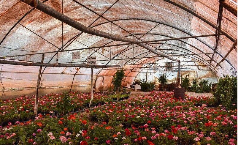 سفری به محلات، هلند ایران سفری به محلات، هلند ایران