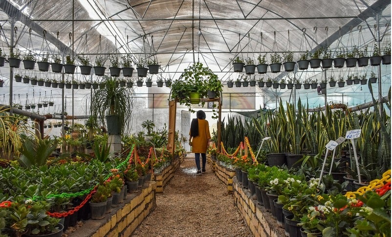 سفری به محلات، هلند ایران سفری به محلات، هلند ایران