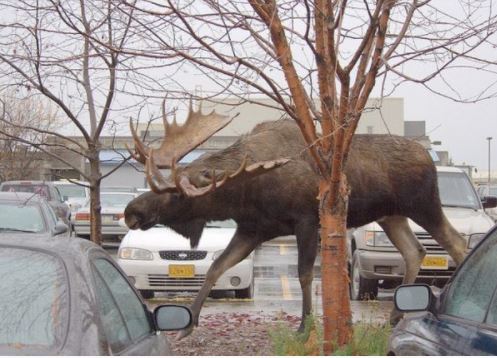 چیزهایی که بزرگتر از آنچه تصور میکنید هستند چیزهایی که بزرگتر از آنچه تصور میکنید هستند