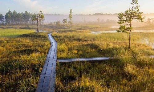 کشور ۵ فصل کجاست؟