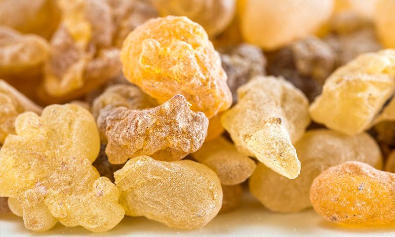 کنترل بیماری رماتیسم مفصلی با گیاهان دارویی کنترل بیماری رماتیسم مفصلی با گیاهان دارویی