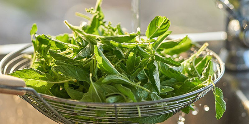 مراحل صحیح شست و شوی سبزی