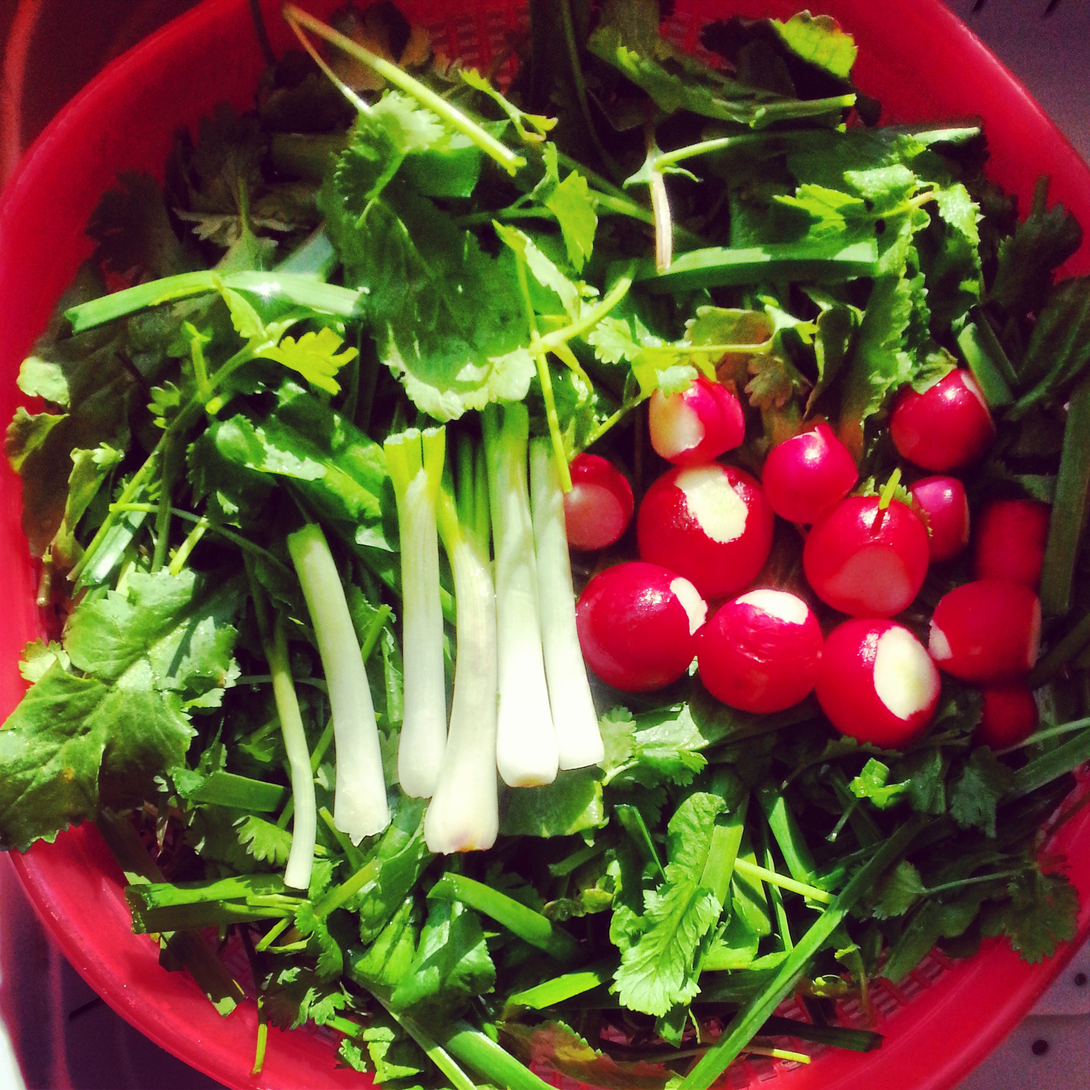 مراحل صحیح شست و شوی سبزی