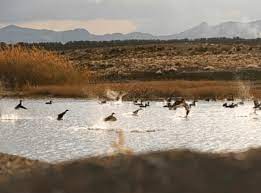 جاذبههای طبیعی استان قم که فکرش را هم نمیکنید جاذبههای طبیعی استان قم که فکرش را هم نمیکنید