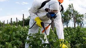 تنوع‌بخشی به سبد آفت‌کش‌ها با سموم کم‌ خطر