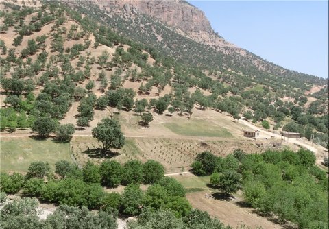 اختصاص ۲۰۰ هکتار از اراضی ملی استان به بخش‌های تولید و خدمات