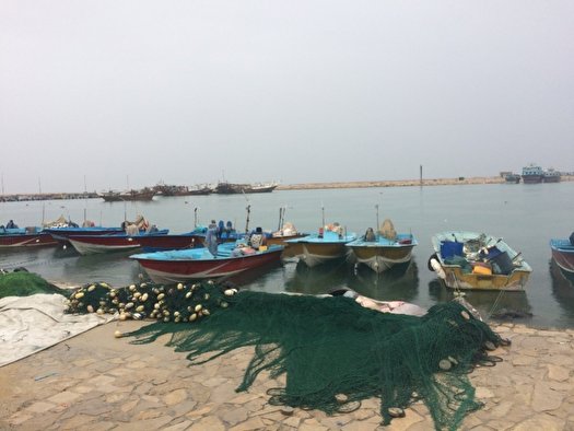 اسکله عسلویه نیازمند لایروبی است