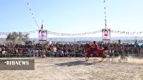 جشنواره اسب‌های زینتی کشور در روستای لاورخشت لامرد