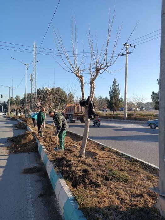 برنامه ریزی برای درختکاری ۱۰۰ هکتار از کمربند سبز بجنورد