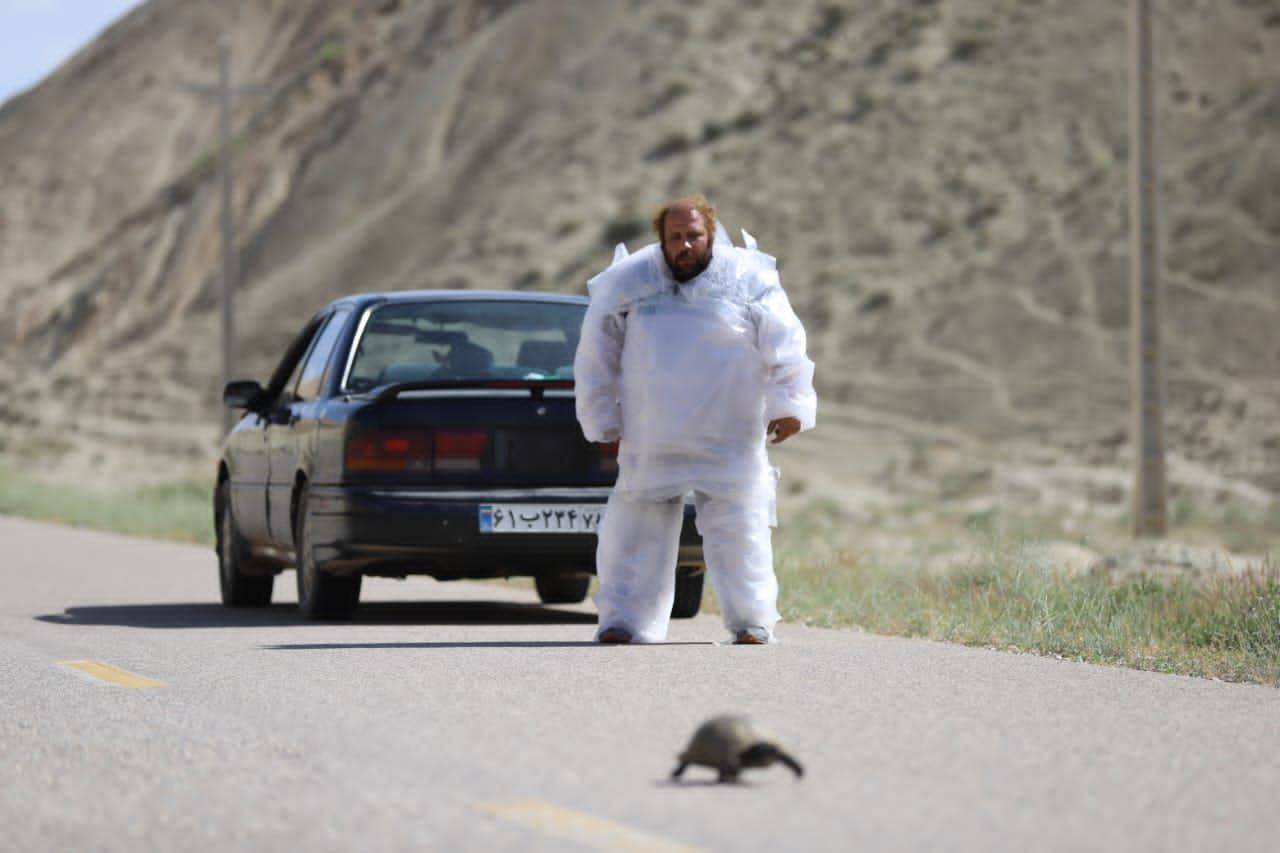تاکسیدرمی در جشنواره فیلم کوتاه تهران