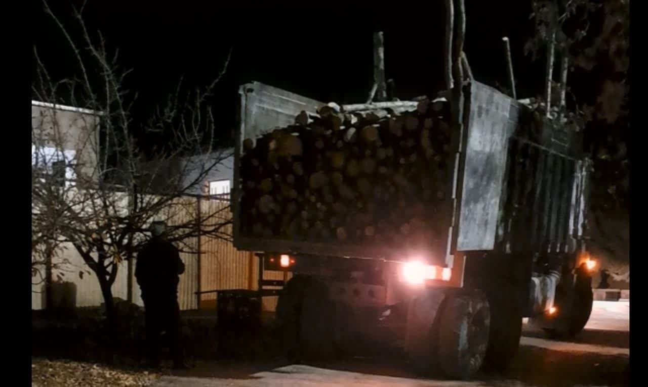 توقیف محموله ۷ تنی چوب قاچاق در تکاب